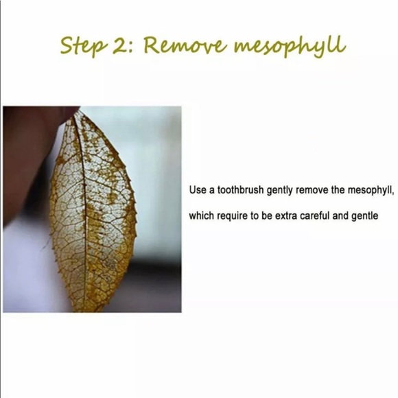 NWT Natural Real Leaf Leaves Necklace Earrings Set - Picture 13 of 15